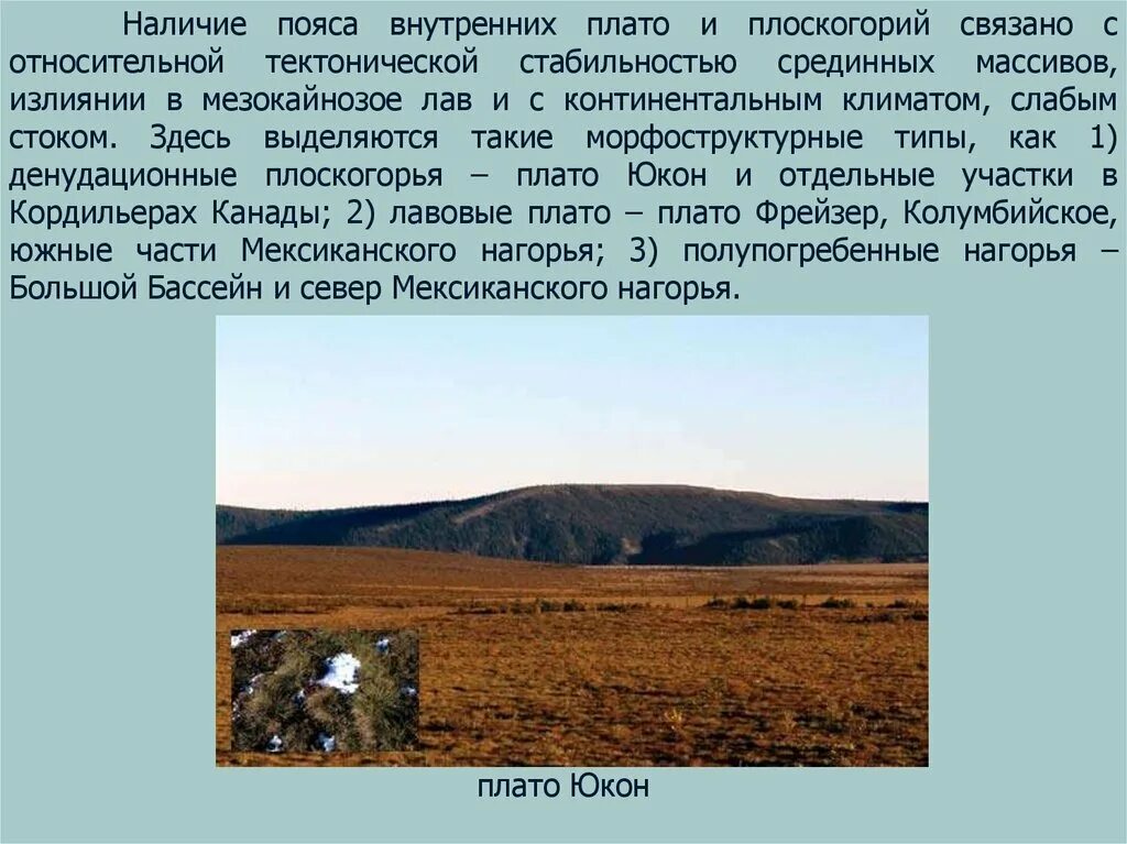 Тектоническая структура плоскогорья декан. Внутренние Плоскогорья это. Внутреннее плоскоскогорье это. Денудационное плоскогорье это. Внутреннее плато.