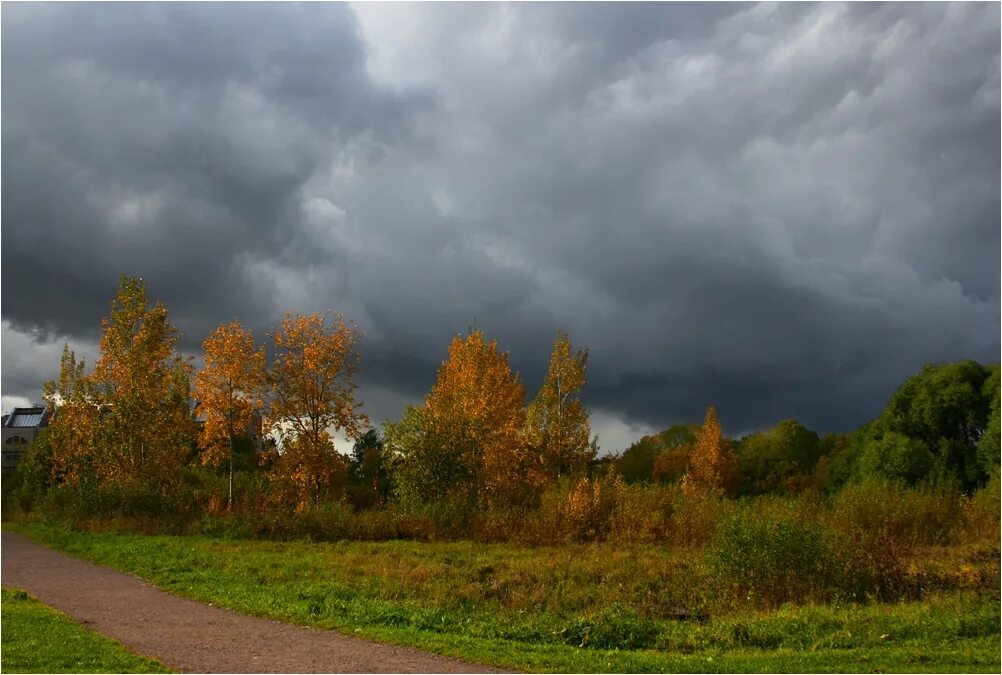 Серое небо осени. Хмурая осень. Хмурое небо осенью. Осенний пейзаж пасмурный. Осенние тучи.