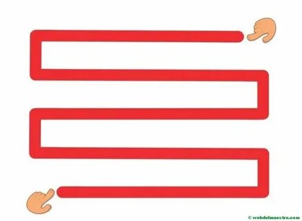 Записывать 2 дорожки
