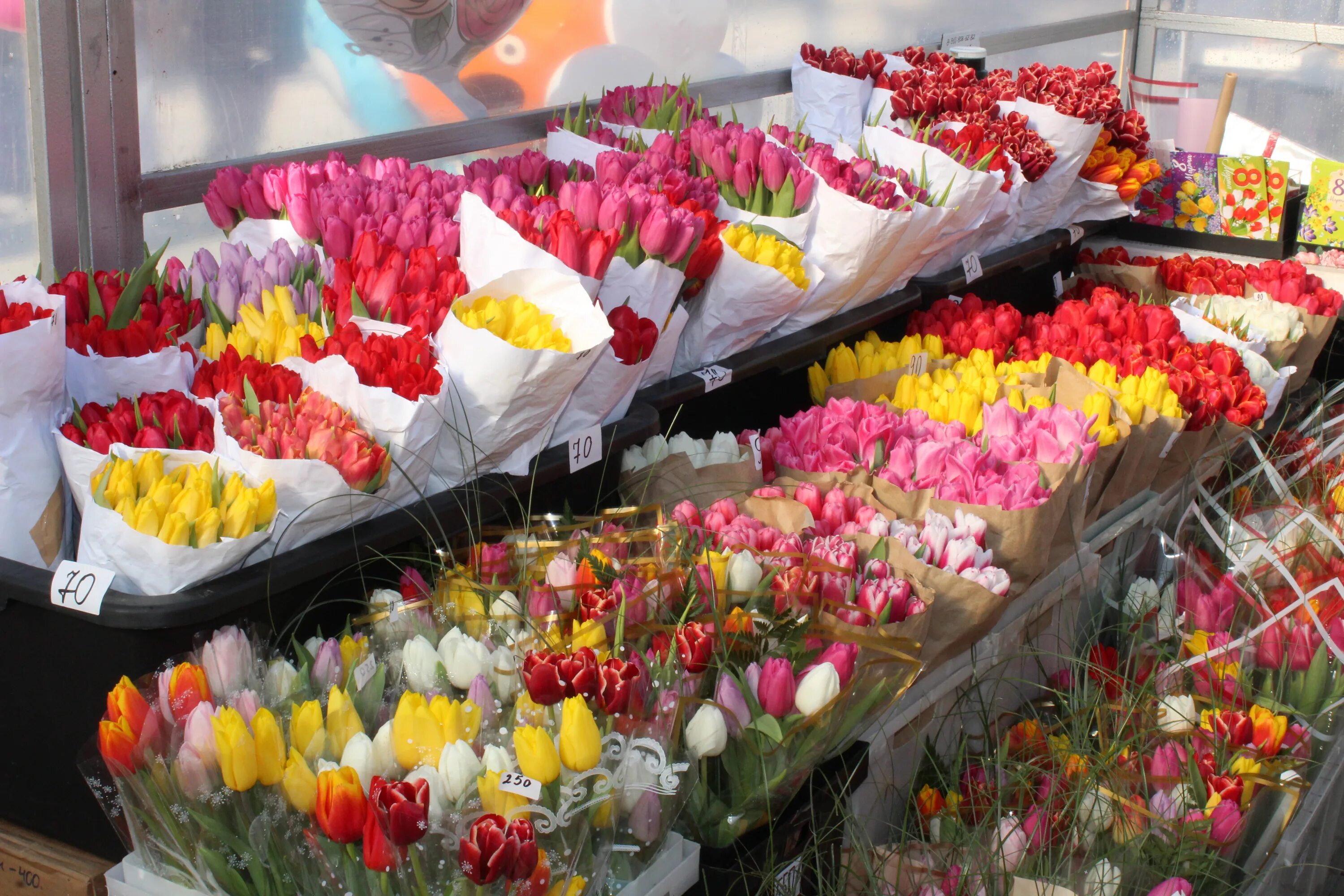 Цветочный рынок на береговой. Цветочный рынок. Цветочные базары тюльпаны. Рижский рынок цветов Мимоза.