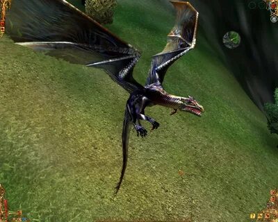 The i of the dragon