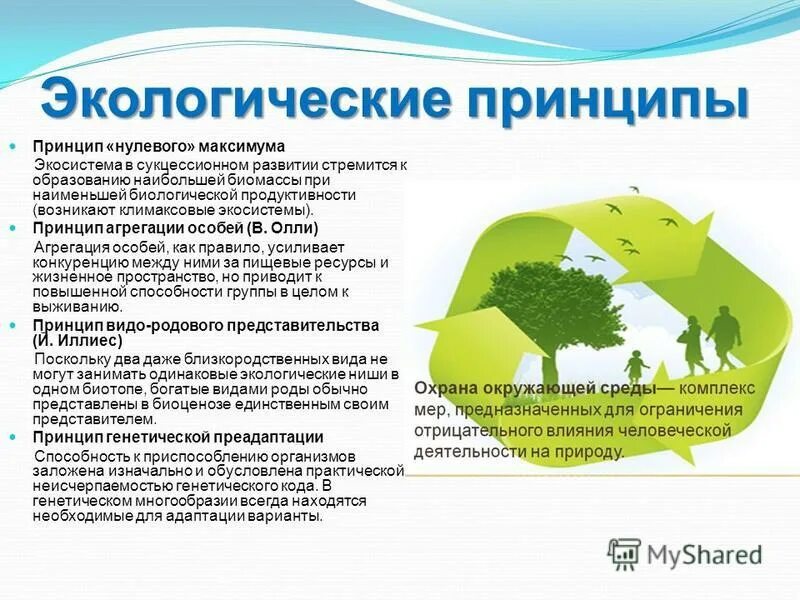 Что из перечисленного связано с экологичным образом. Экологические принципы. Ключевые экологические принципы. Экологический принцип экология. Важнейший экологический принцип.