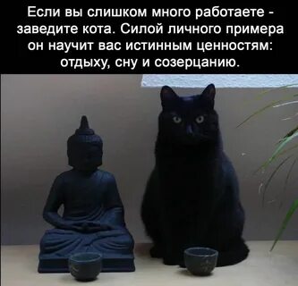 Сила на личную жизнь