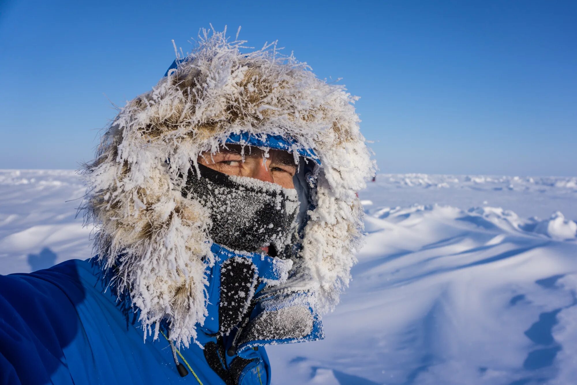Ненцы ханты манси чукчи. Нарты эскимосов. Шаманы ханты и манси. Люди севера. Зантв иансии народ в чумах.