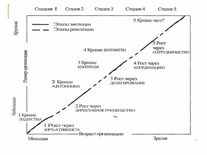 Модель жизненного цикла организации л грейнера