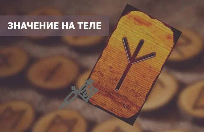 Что означает альгиз. Руна альгиз. тату руны альгиз. руна альгиз татуировка. альгиз в отношениях и любви.