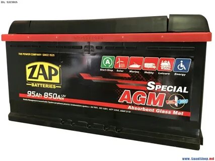 Zap zap отзывы