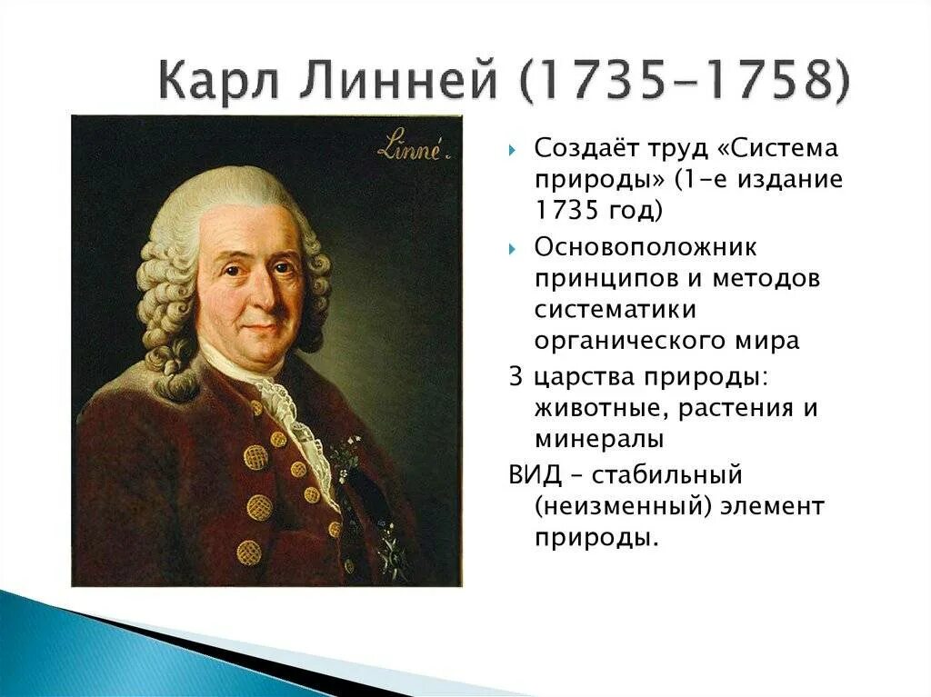 Ученый использовал как основную единицу систематики. Линней ученый.
