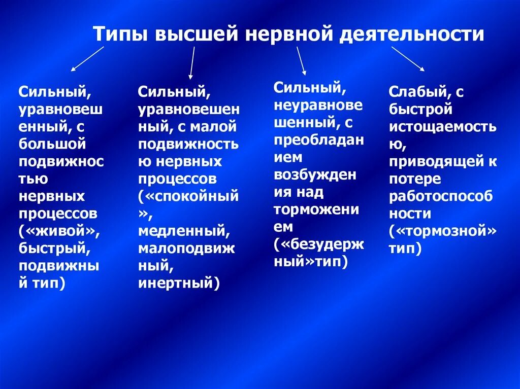 Признаки специфической нервной деятельности. Типы низшей нервной деятельности. Типы высшей неврнойдеятельности. Типы ВНД. Типы высшей нервной системы.