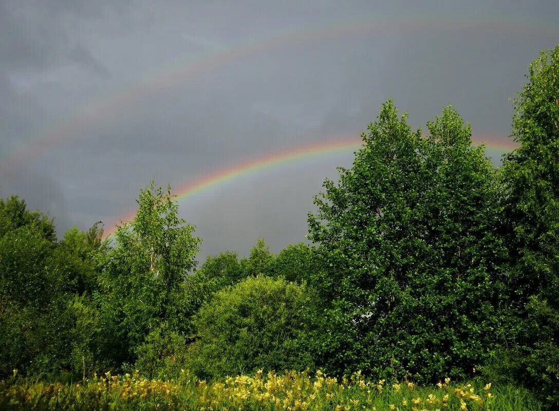Дождь для радуги. Радуга и солнце. Радуга после грозы. Двойная радуга в москве. Дождь для радуги.