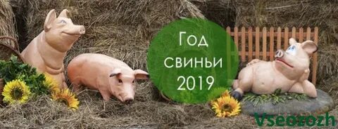 2025 год для кабана женщины