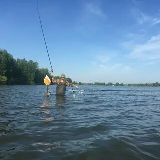 Бисеровское ш 3а поселок рыбхоз
