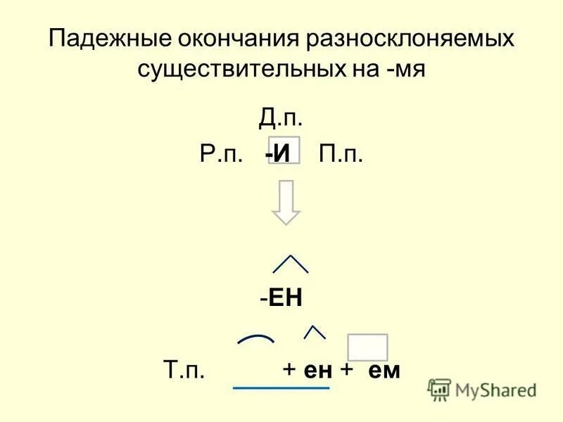 мышь разносклоняемое существительное. мышь род и склонение. окончания разносклоняемых существительных. склонение сущ разносклоняемые. мышь разносклоняемое существительное.