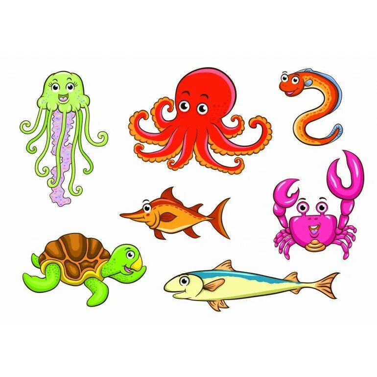 Палтус семейство камбаловых. Морские рыбки для аквариума. Морская рыба 3 буквы. Рыба картинка. Название рыб.