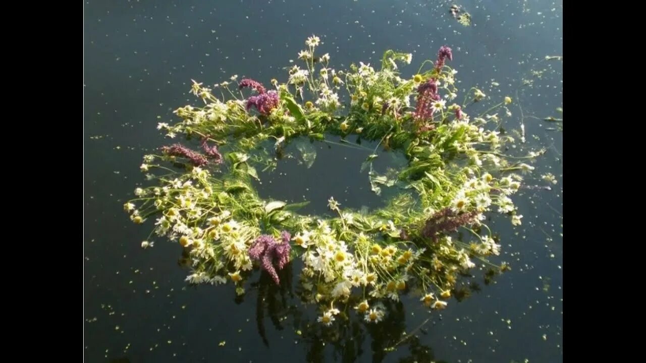 Если венок утонул на ивана купала. Если венок утонул на ивана купала. Ночные купания на ивана купала. Купаться в цветах. Купала венки на воде.