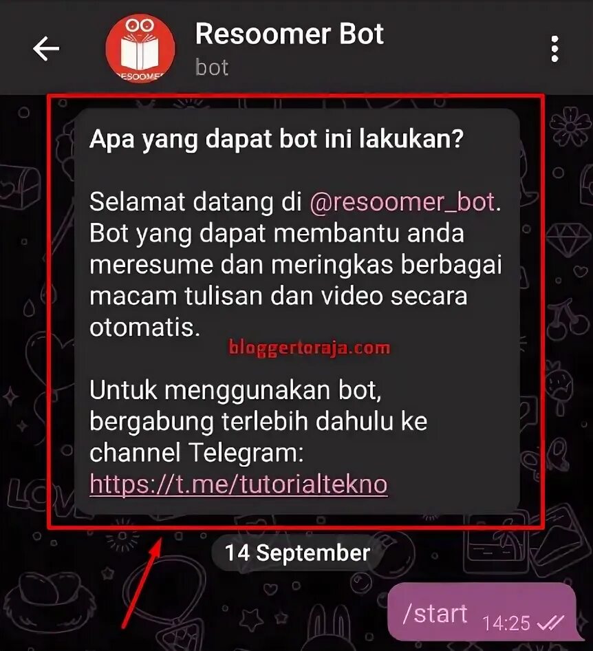 Spam info bot telegram. Spam info bot как отключить. info bot.