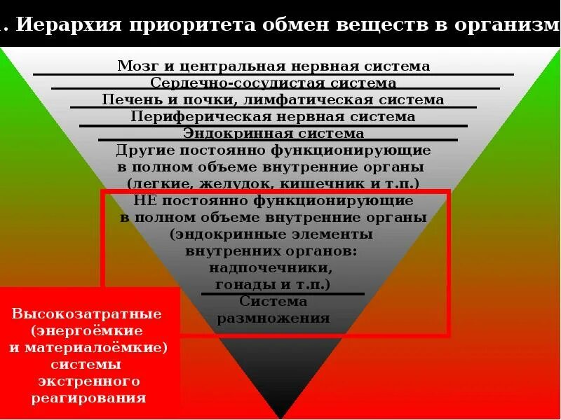 Иерархия приоритетов. Иерархия приоритетов развития инфраструктуры. Иерархия приоритетов в жизни. Наиболее конструктивная иерархия приоритетов.