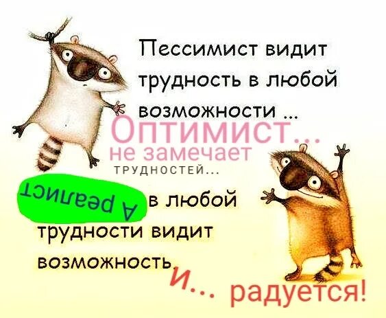 Анегдоты про оптимист и писимиста. Оптимизм приколы. Анекдот про оптимиста и пессимиста. Анекдот про оптимизм. И дает возможность видеть все