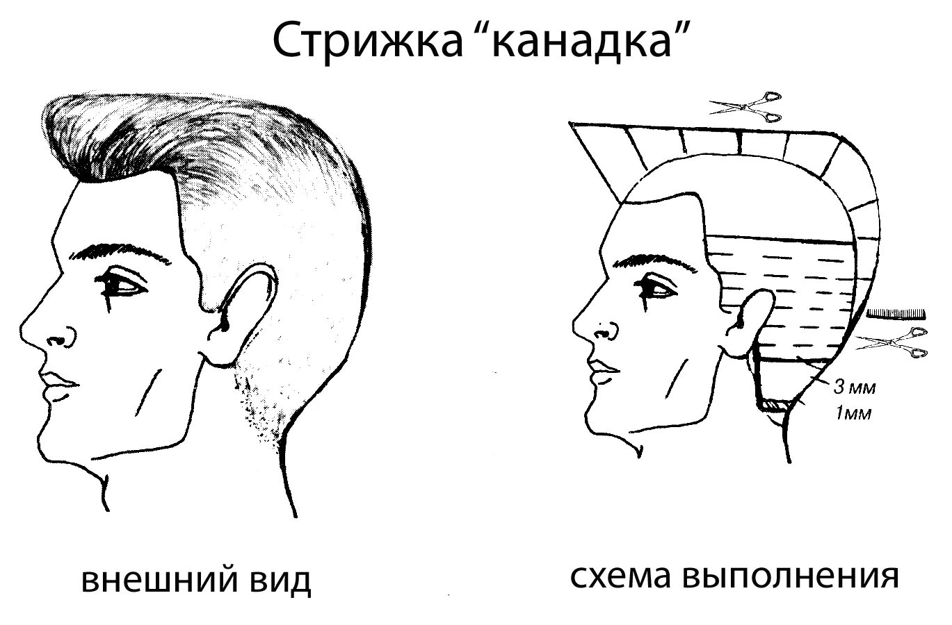 Полубокс машинкой в домашних условиях. Канадка мужская стрижка схема выполнения. Мужская стрижка канадка технология выполнения схема. Андеркат мужская стрижка схема выполнения стрижки. Мужская стрижка Бобрик схема.