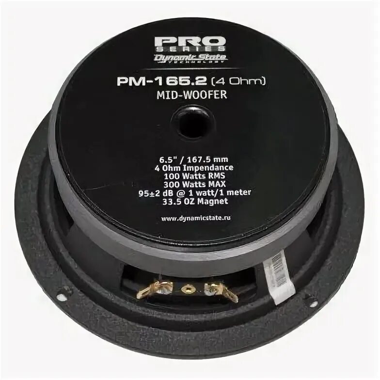 Динамики state. Dynamic state pm-165.2. dynamic state pm-165.2 pro series. dynamic state pro pm-165.2n. динамик state pm 165.