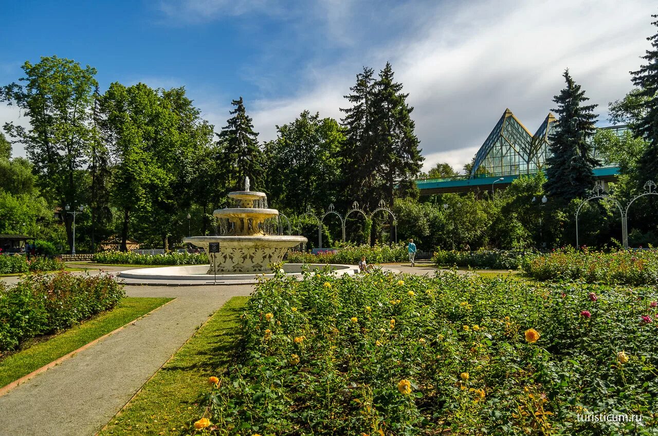 Московское горький парк. Парк Горького. Парк культуры Горького. Центральный парк культуры и отдыха им. м. Горького, Москва. Парк Горького (ЦПКИО имени Горького).