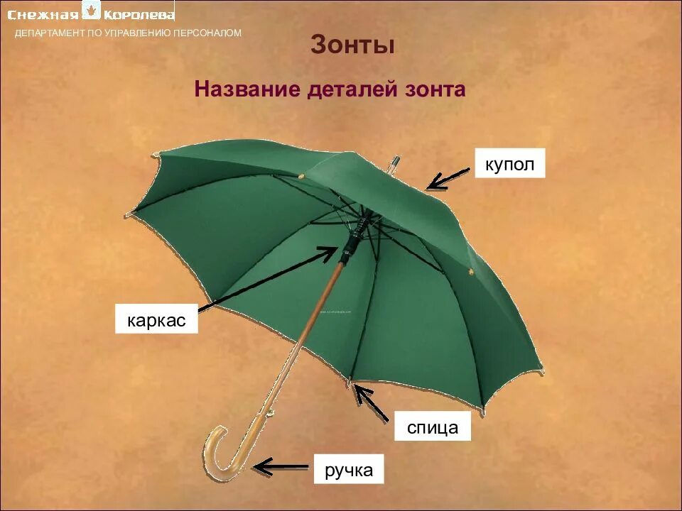 Составляющие зонтика. Строение зонта. Из чего состоит зонт. Названия частей зонтика. Зонт части зонта.