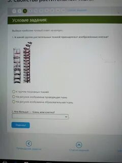 Какой ткани относится изображенный клетки