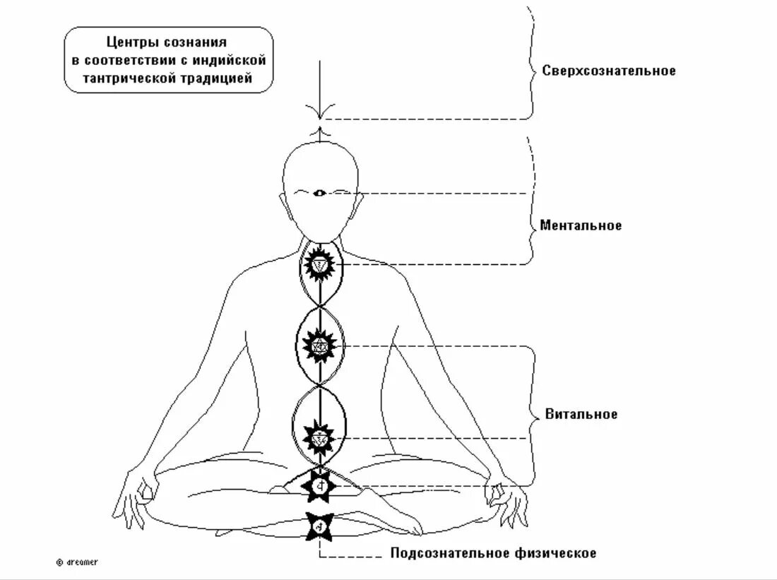 Путешествие сознания шри. Центр сознания. Сознание рисунок. Витальное тело человека. Центры сознания человека.