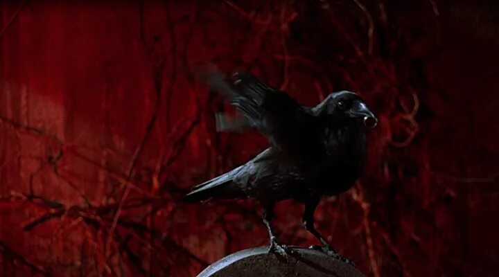Ворон краткое содержание всех серий. Ворон 1984. проклятие ворона фильм. ворона из фильма.