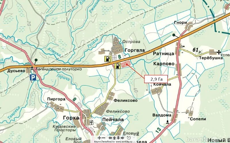 Кп лесная сказка ленинградская область. Торбеевка днп дом 71. Деревня горгала. Горгала. Погода горгала кировский.