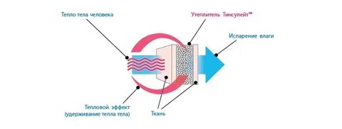 Наполнитель тинсулейт в куртке что это