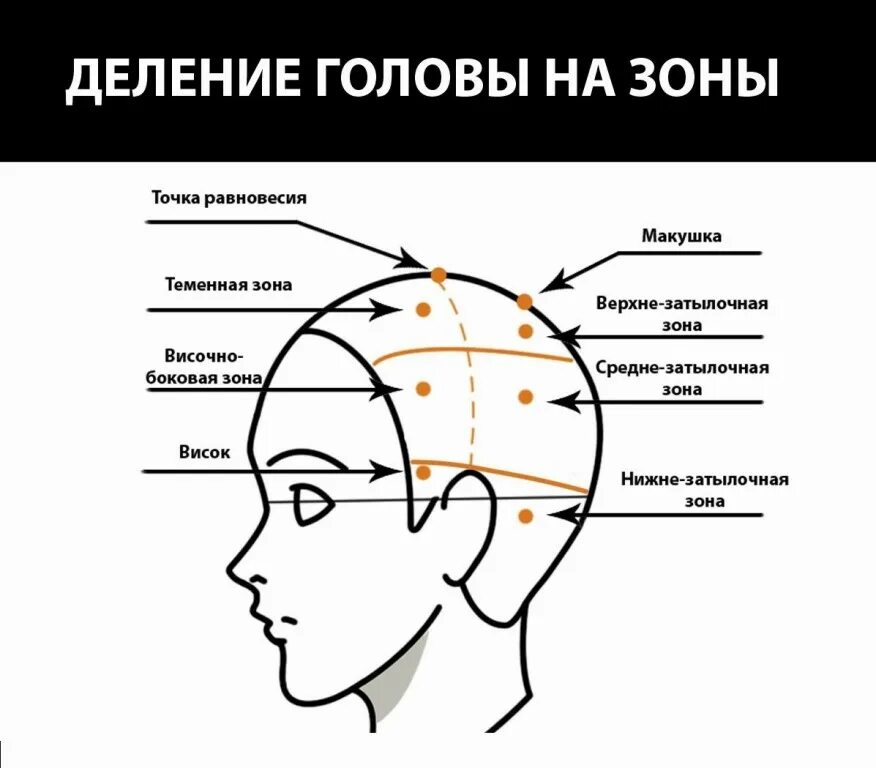 Волосы теменной объем
