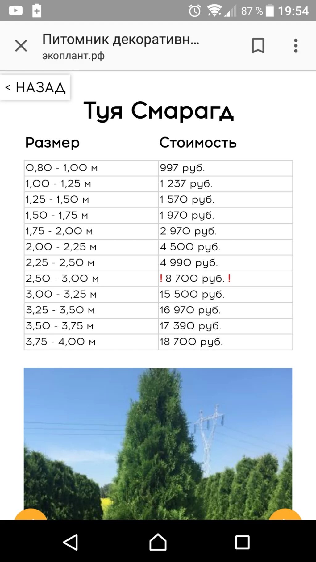Экоплант экспериментальная ул 14 село ильинское фото Питомник растений "Экоплант" дает скидку 70% на деревья, цветы и кустарники