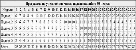 Схема подтягиваний на турнике на 30 дней. Схема подтягиваний на турнике за 30. Схема подтягиваний на турнике на 15 недель. Система подтягивания таблица. Увеличение количества подтягиваний