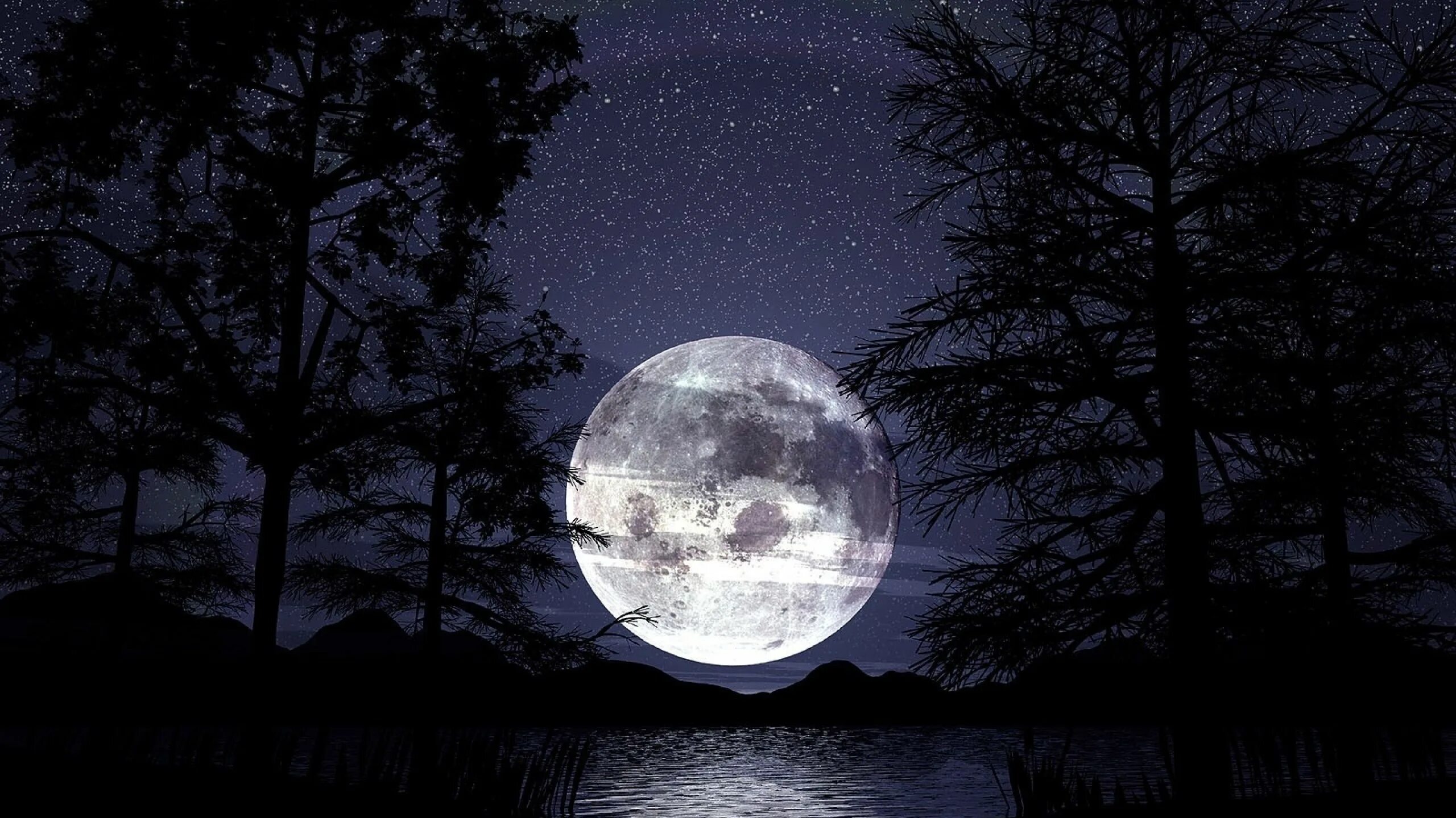 Лунная ночь. Фиолетовая Луна. Красивая Луна. Полнолуние. В тихую лунную ночку выйду