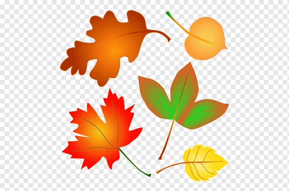 Осенние листья для вырезания. Осенние листья. Разноцветные листочки осенние. Осенние листья для дошкольников. Осенние листья для распечатки.