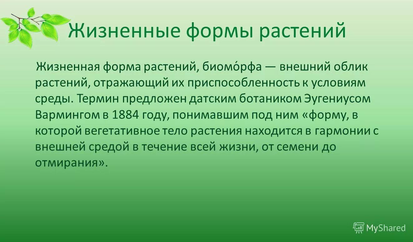 Бесполое и половое поколение растений