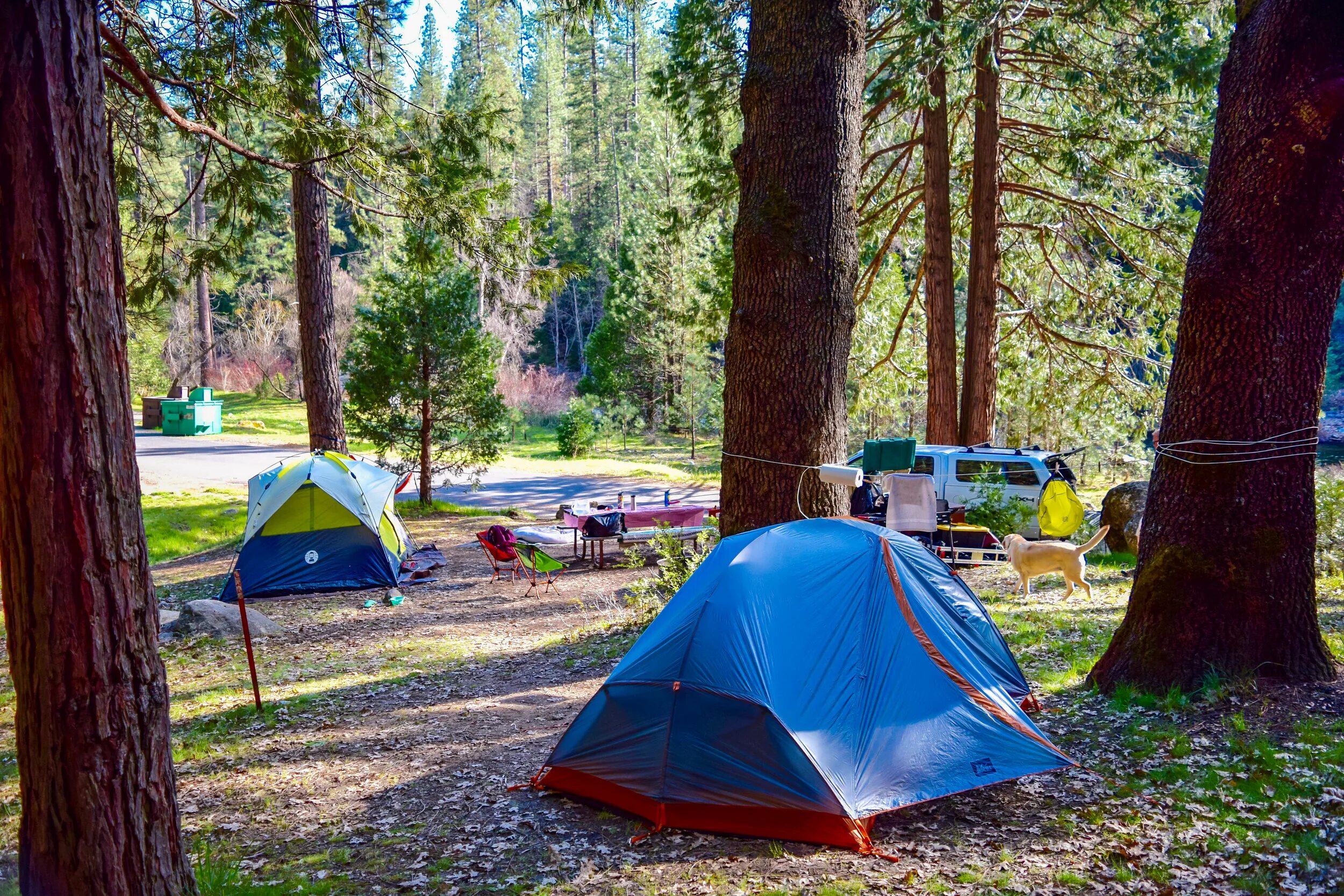 Йосемити camp 4. Нац парк йосемити кемпинг. Кемпинг парк. New camp глэмпинг. Йосемити, калифорния обитатели.