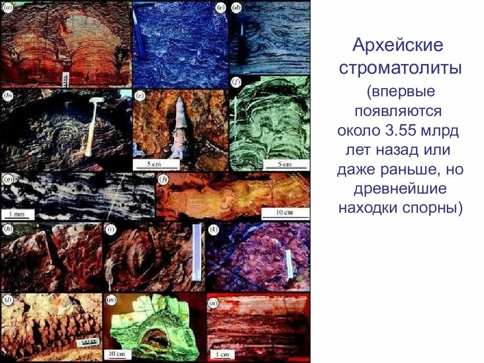 3 2 млрд лет