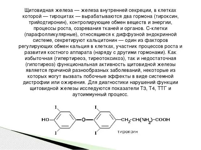 Тироксин железа внутренней секреции. Тироксин и трийодтиронин секретируют. Физ эффект тироксина. Тироксин и глюкагон. Какие железы вырабатывают тироксин