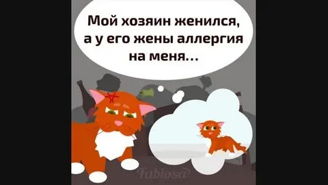 Подарили собачку а ей даже 14 нет
