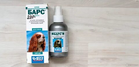 Средство от блох для человека