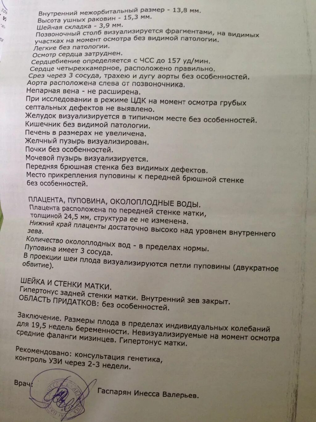 УЗИ 19 недель протокол УЗИ. УЗИ протокол беременность 19 недель. Протокол УЗИ 20 недель. УЗИ 19 недель норма.