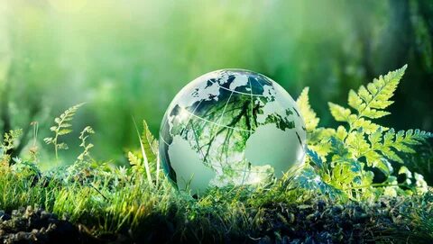 Environment cd
