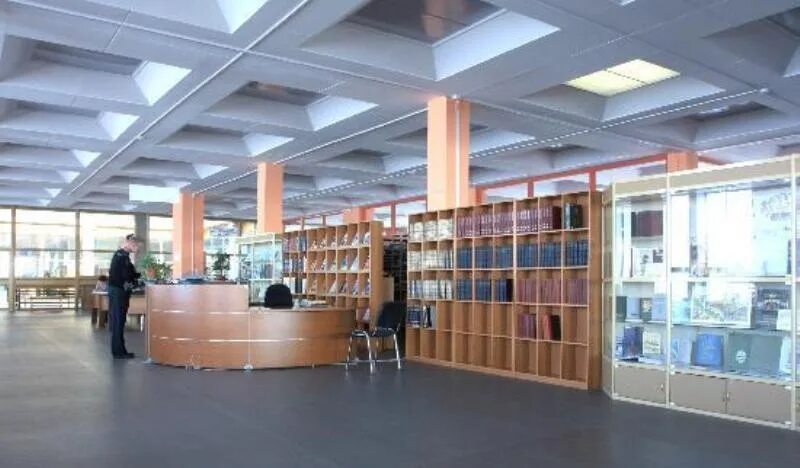 Библиотека добролюбова архангельск. Архангельская библиотека добролюбова. Добролюбова. Добролюбовская библиотека архангельск. Добролюбовка архангельск.