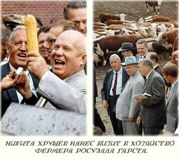 Хрущев и кукуруза