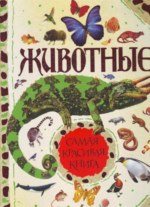 Спасая животных книга. Красивая книга о животных. про зверей книга. прекрасный зверь книга. я и животные книга.
