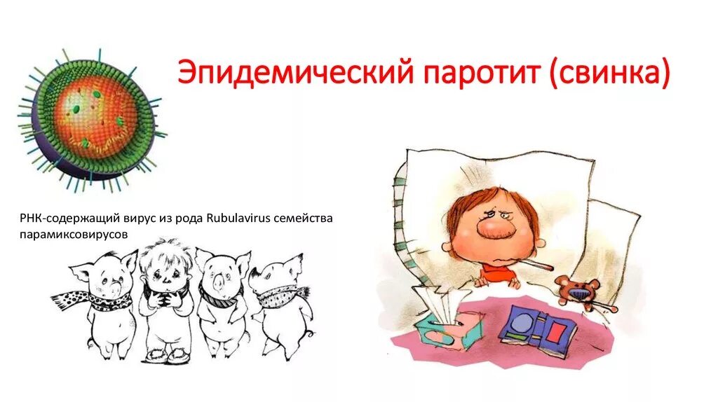 Свинка проходит. Эпид паротит эпидемиология. Паротит Свинка возбудитель. Свинка болезнь пути передачи. Эпидемический паротит Свинка вирус.