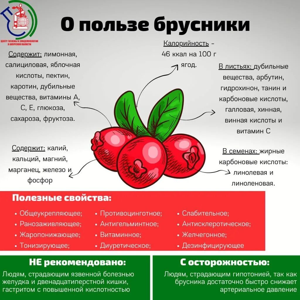 Брусника. Чем полезна брусникасника. Брусника полезные свойства. Чем полезна брусника.