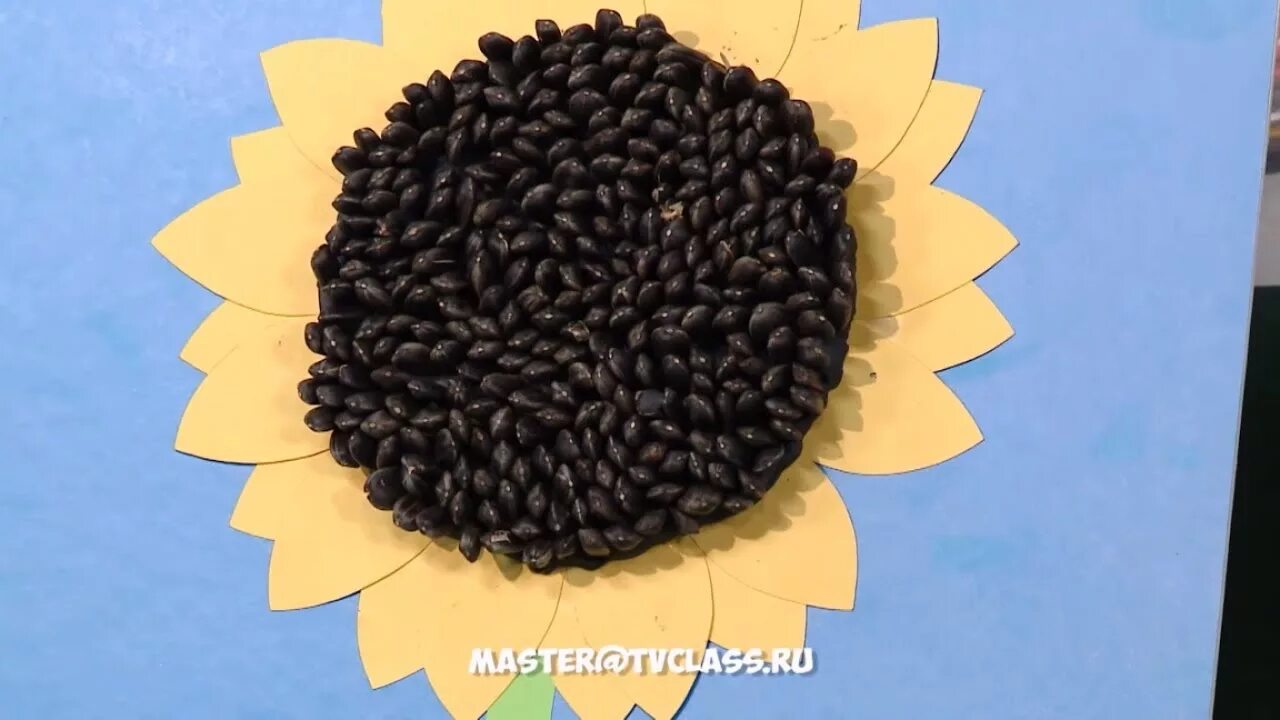 Семечки видео в детском саду. Танец семечки в детском саду. Семечки видео в детском саду. Семечки песня в доу. Танец семечки.